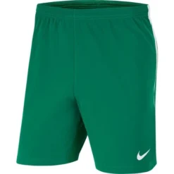Nike Fußball Shorts Dri-FIT Venom III Woven - Grün/Weiß