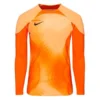 Nike Torwarttrikot Dri-FIT ADV Gardien IV L/S - Orange/Schwarz