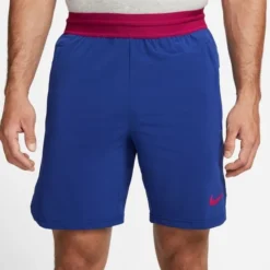 Nike Pro Laufshorts Dri-FIT Flex Vent Max - Navy/Lila