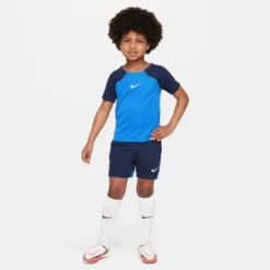 Nike Trainingsset Dri-FIT Academy Pro - Blau/Navy/Weiß Kinder